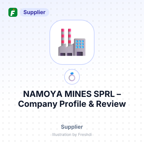 NAMOYA MINES SPRL – summary card, no photo uploaded yet