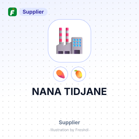 NANA TIDJANE – summary card, no photo uploaded yet