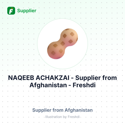 NAQEEB ACHAKZAI – summary card, no photo uploaded yet