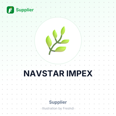 NAVSTAR IMPEX – summary card, no photo uploaded yet