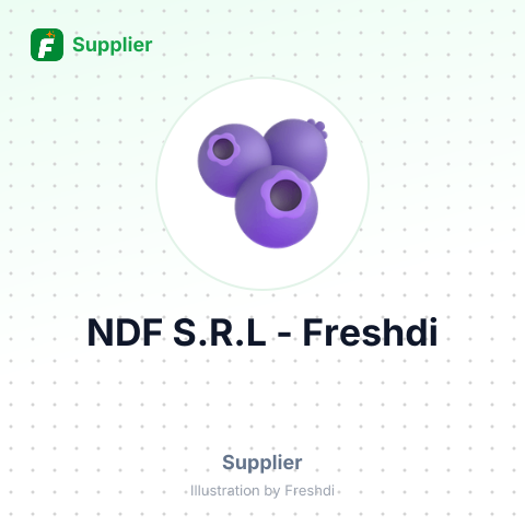 NDF S.R.L – summary card, no photo uploaded yet