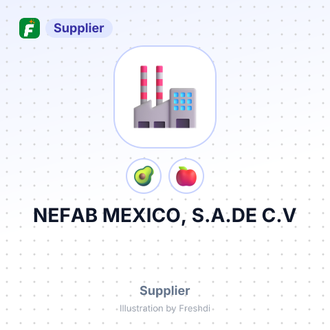 NEFAB MEXICO, S.A.DE C.V – summary card, no photo uploaded yet