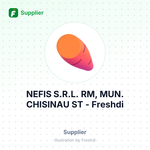 NEFIS S.R.L. RM, MUN. CHISINAU ST – summary card, no photo uploaded yet