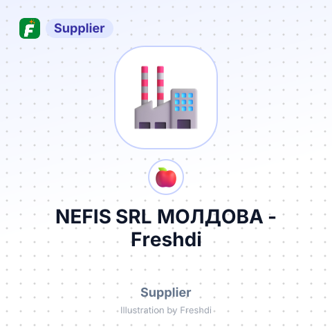 NEFIS SRL МОЛДОВА – summary card, no photo uploaded yet