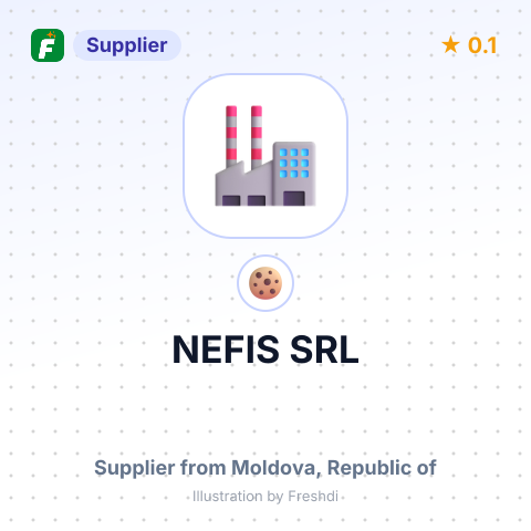 NEFIS SRL – summary card, no photo uploaded yet