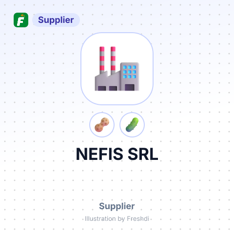 NEFIS SRL – summary card, no photo uploaded yet