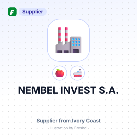 NEMBEL INVEST S.A. – summary card, no photo uploaded yet