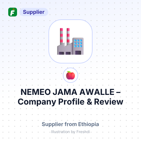 NEMEO JAMA AWALLE – summary card, no photo uploaded yet