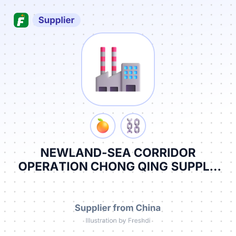 NEWLAND-SEA CORRIDOR OPERATION CHONG QING SUPPLY CHAIN CO., LTD. – summary card, no photo uploaded yet