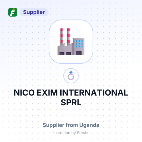 NICO EXIM INTERNATIONAL SPRL – summary card, no photo uploaded yet
