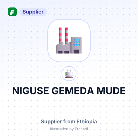 NIGUSE GEMEDA MUDE – summary card, no photo uploaded yet