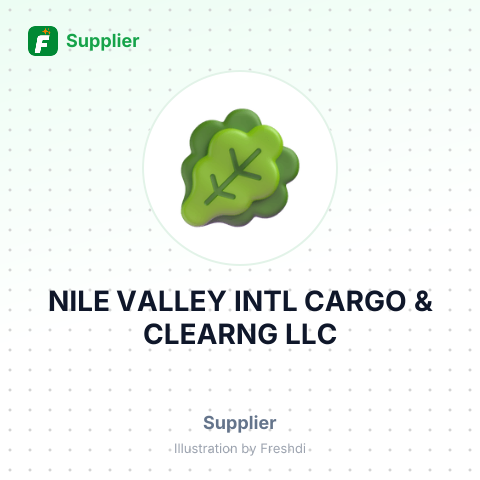 NILE VALLEY INTL CARGO & CLEARNG LLC – summary card, no photo uploaded yet