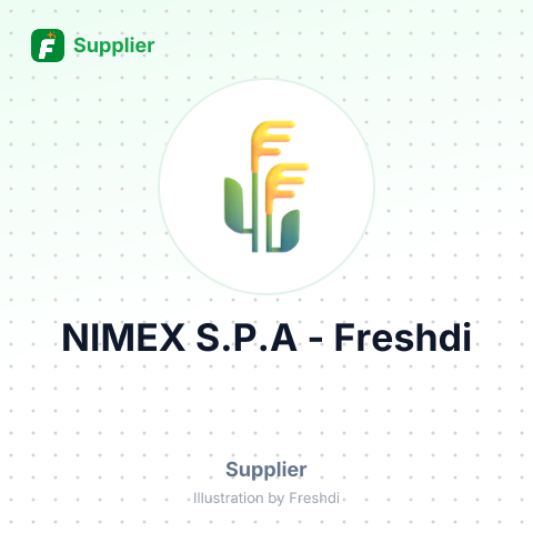 NIMEX S.P.A – summary card, no photo uploaded yet