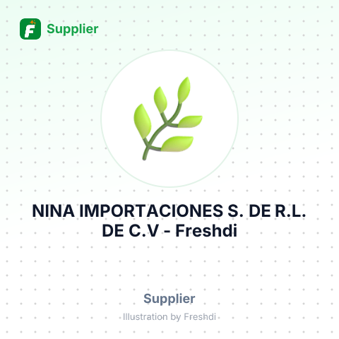 NINA IMPORTACIONES S. DE R.L. DE C.V – summary card, no photo uploaded yet