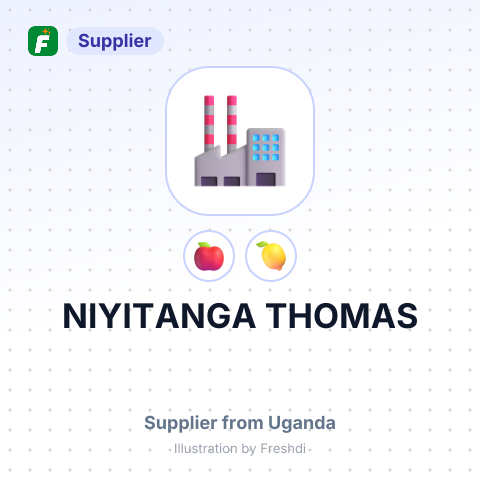 NIYITANGA THOMAS – summary card, no photo uploaded yet