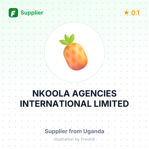 NKOOLA AGENCIES INTERNATIONAL LIMITED – summary card, no photo uploaded yet