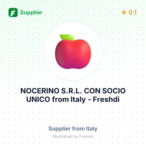 NOCERINO S.R.L. CON SOCIO UNICO – summary card, no photo uploaded yet