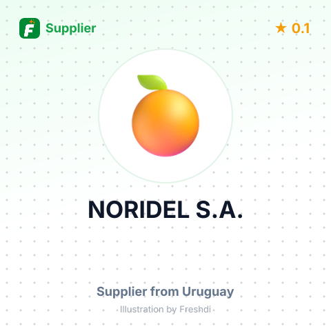 NORIDEL S.A. – summary card, no photo uploaded yet
