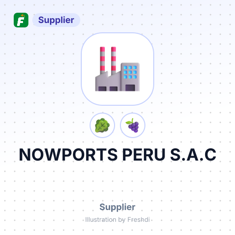 NOWPORTS PERU S.A.C – summary card, no photo uploaded yet