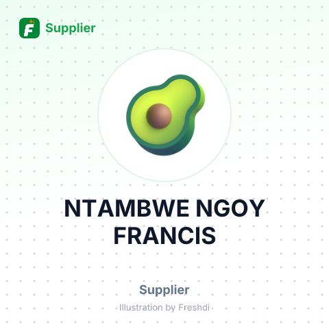 NTAMBWE NGOY FRANCIS – summary card, no photo uploaded yet