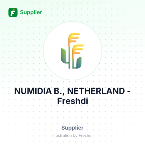 NUMIDIA B., NETHERLAND – summary card, no photo uploaded yet