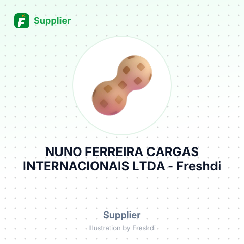 NUNO FERREIRA CARGAS INTERNACIONAIS LTDA – summary card, no photo uploaded yet