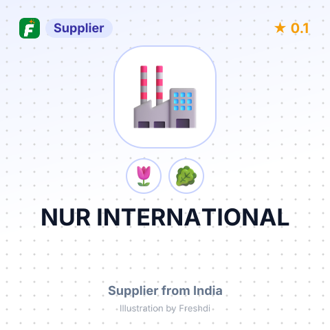 NUR INTERNATIONAL – summary card, no photo uploaded yet