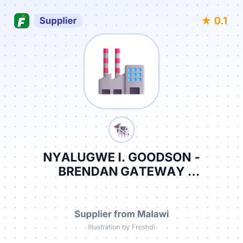 NYALUGWE I. GOODSON - BRENDAN GATEWAY INVESTMENTS – summary card, no photo uploaded yet