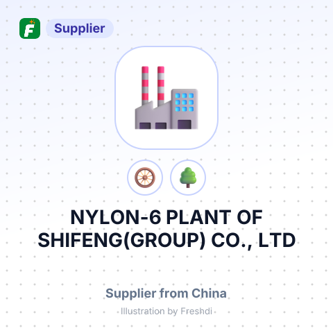 NYLON-6 PLANT OF SHIFENG(GROUP) CO., LTD – summary card, no photo uploaded yet