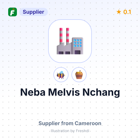 Neba Melvis Nchang – summary card, no photo uploaded yet