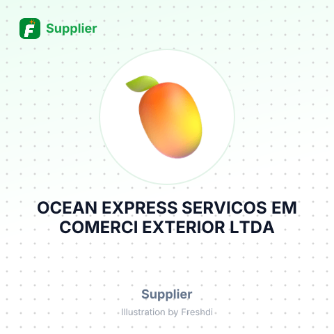 OCEAN EXPRESS SERVICOS EM COMERCI EXTERIOR LTDA – summary card, no photo uploaded yet