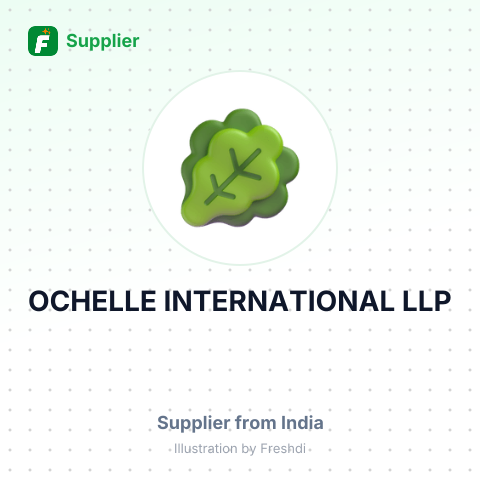OCHELLE INTERNATIONAL LLP – summary card, no photo uploaded yet