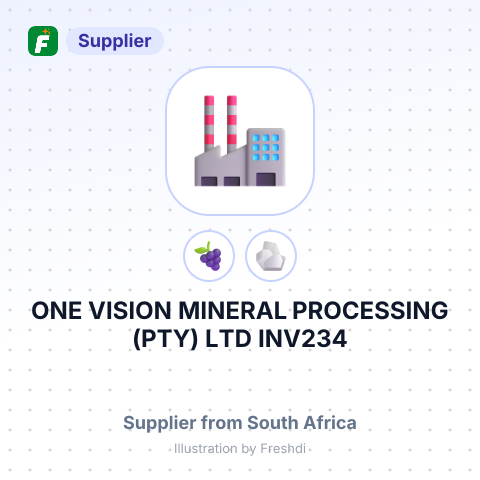 ONE VISION MINERAL PROCESSING (PTY) LTD INV234 – summary card, no photo uploaded yet