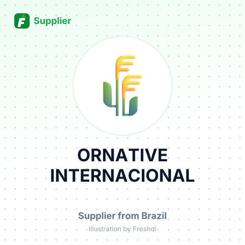 ORNATIVE INTERNACIONAL – summary card, no photo uploaded yet