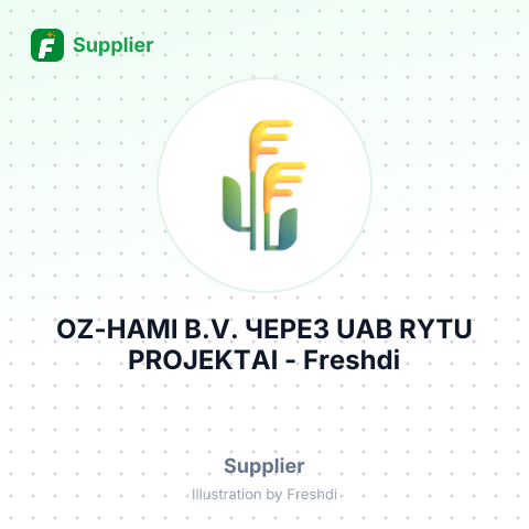OZ-HAMI B.V. ЧЕРЕЗ UAB RYTU PROJEKTAI – summary card, no photo uploaded yet