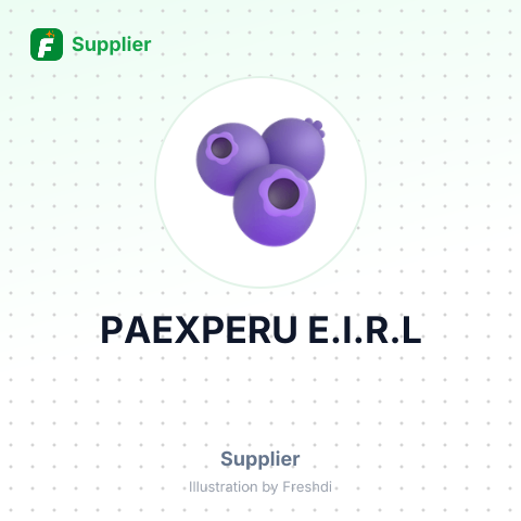 PAEXPERU E.I.R.L – summary card, no photo uploaded yet