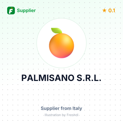 PALMISANO S.R.L. – summary card, no photo uploaded yet