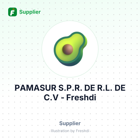 PAMASUR S.P.R. DE R.L. DE C.V – summary card, no photo uploaded yet
