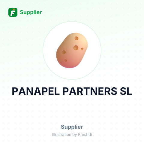 PANAPEL PARTNERS SL – summary card, no photo uploaded yet