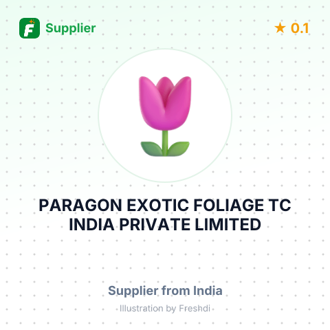 PARAGON EXOTIC FOLIAGE TC INDIA PRIVATE LIMITED – summary card, no photo uploaded yet