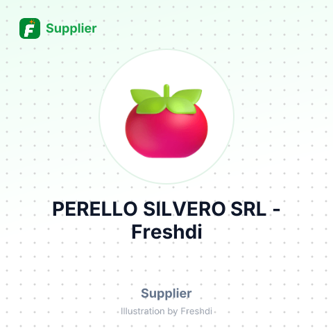 PERELLO SILVERO SRL – summary card, no photo uploaded yet