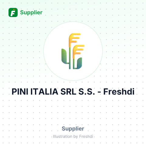 PINI ITALIA SRL S.S. – summary card, no photo uploaded yet
