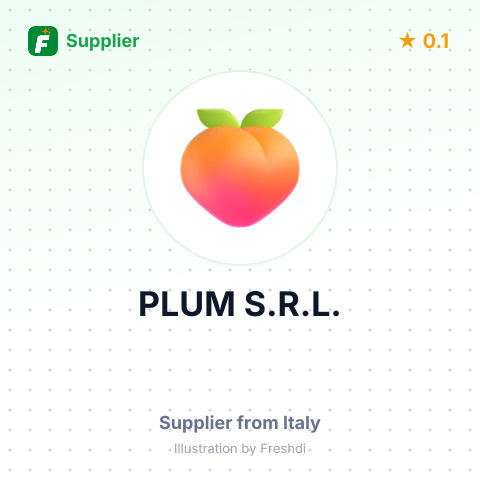 PLUM S.R.L. – summary card, no photo uploaded yet