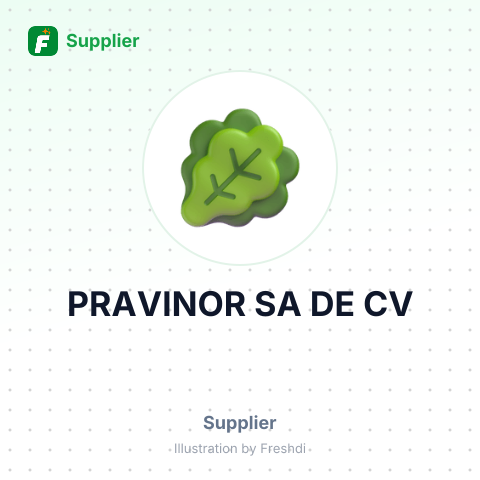 PRAVINOR SA DE CV – summary card, no photo uploaded yet