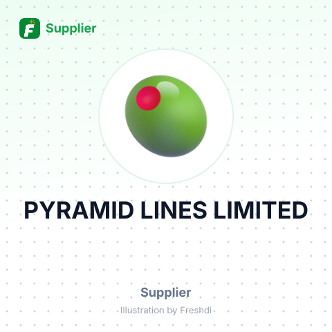 PYRAMID LINES LIMITED – summary card, no photo uploaded yet