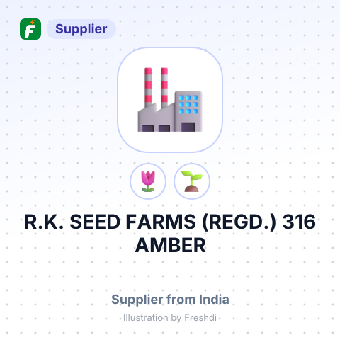 R.K. SEED FARMS (REGD.) 316, AMBER – summary card, no photo uploaded yet