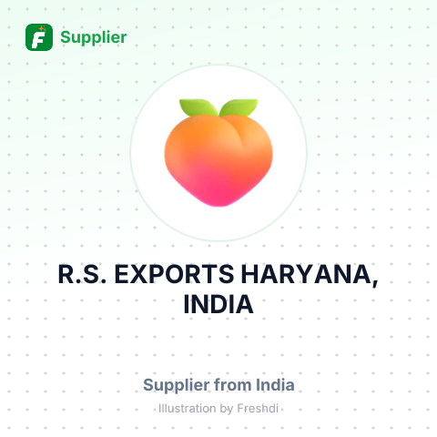 R.S. EXPORTS HARYANA, INDIA – summary card, no photo uploaded yet