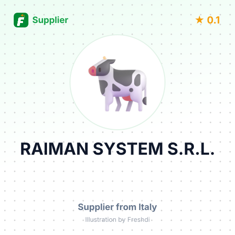 RAIMAN SYSTEM S.R.L. – summary card, no photo uploaded yet