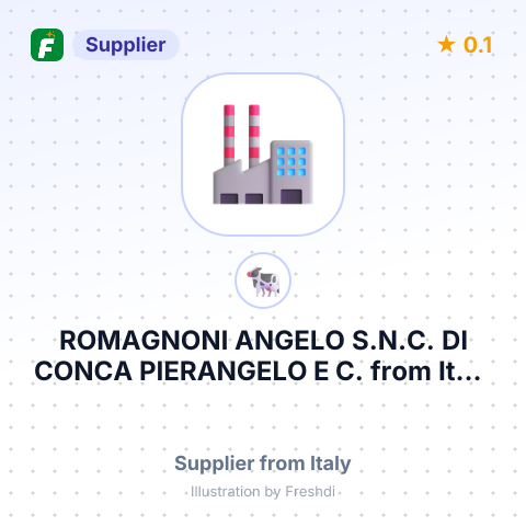 ROMAGNONI ANGELO S.N.C. DI CONCA PIERANGELO E C. – summary card, no photo uploaded yet