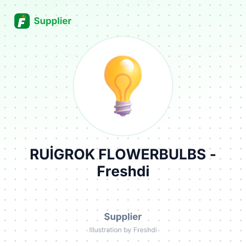 RUİGROK FLOWERBULBS – summary card, no photo uploaded yet